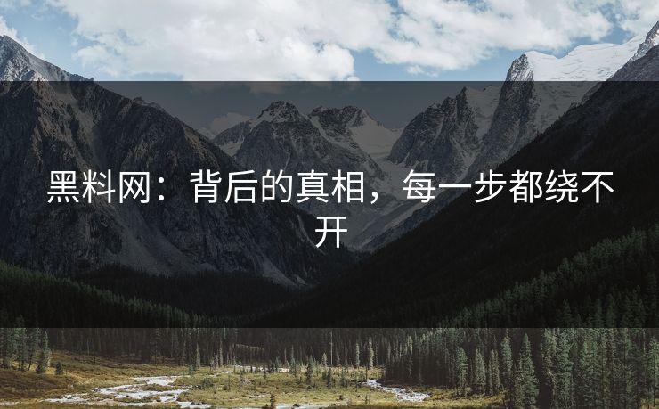 黑料网：背后的真相，每一步都绕不开