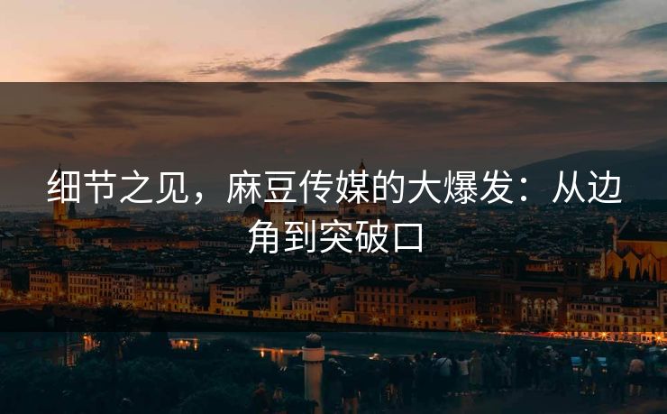 细节之见，麻豆传媒的大爆发：从边角到突破口