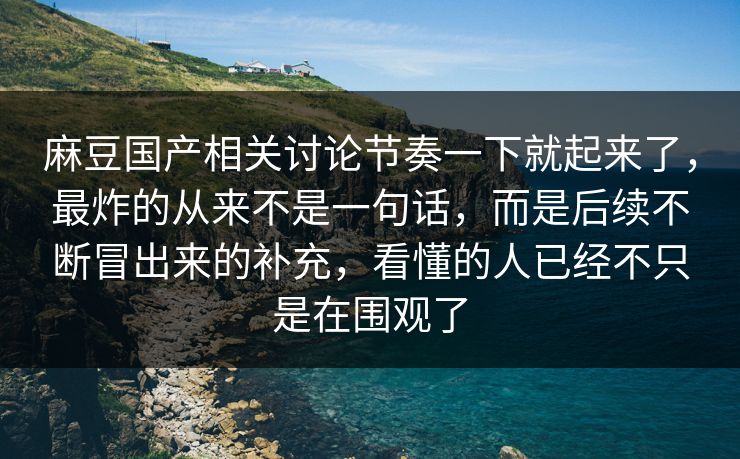 麻豆国产相关讨论节奏一下就起来了，最炸的从来不是一句话，而是后续不断冒出来的补充，看懂的人已经不只是在围观了