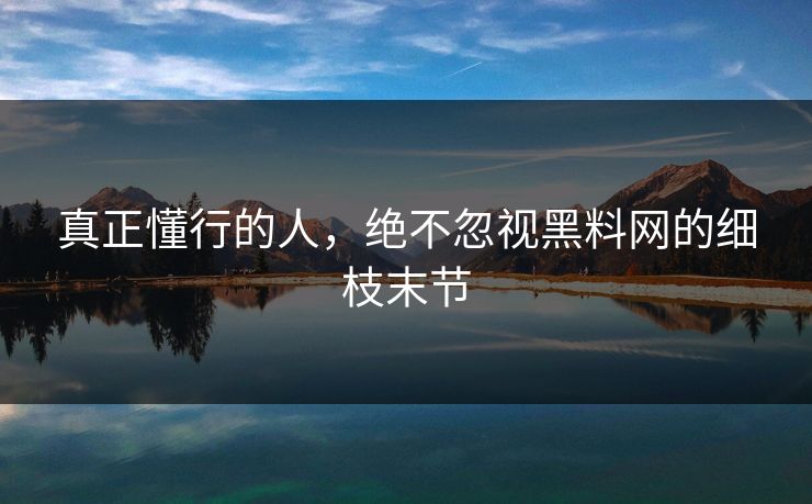 真正懂行的人，绝不忽视黑料网的细枝末节