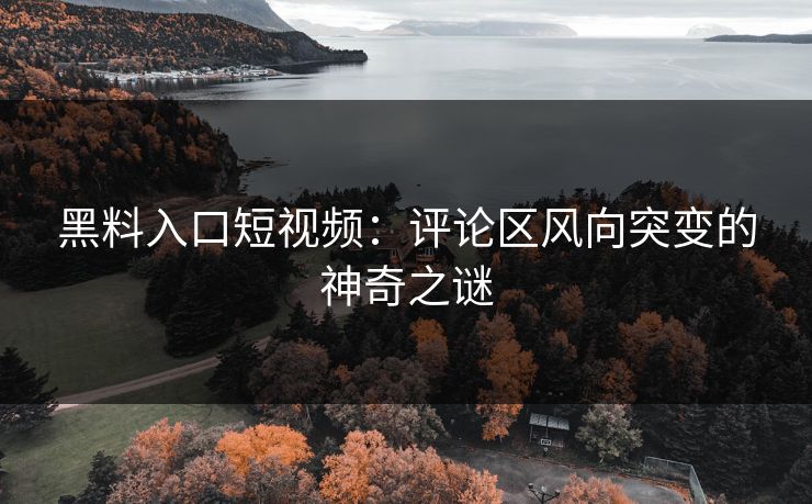 黑料入口短视频：评论区风向突变的神奇之谜