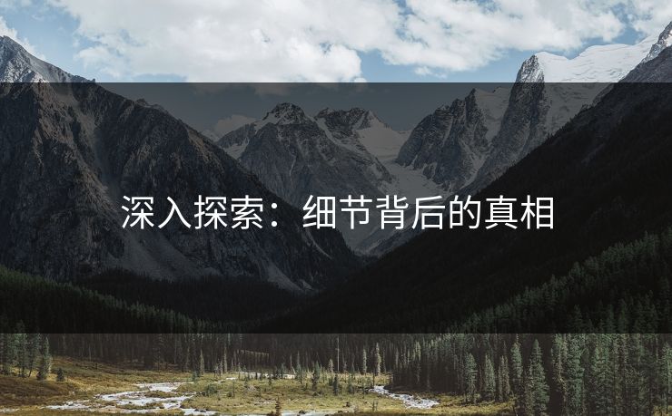 深入探索：细节背后的真相