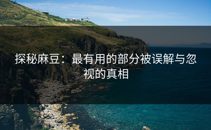 探秘麻豆：最有用的部分被误解与忽视的真相