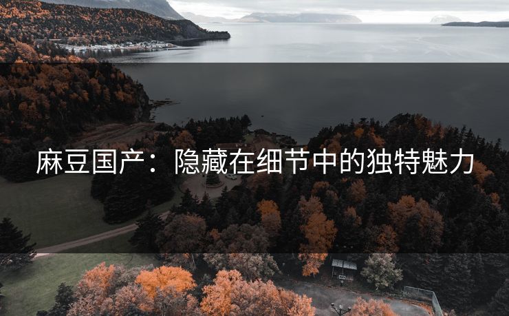 麻豆国产：隐藏在细节中的独特魅力