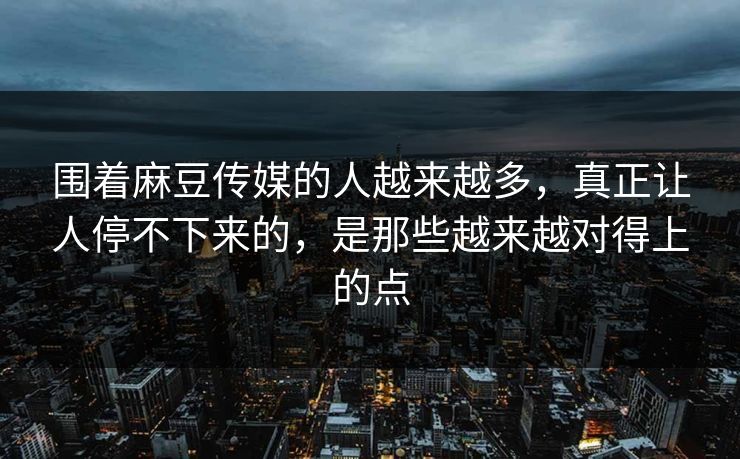 围着麻豆传媒的人越来越多，真正让人停不下来的，是那些越来越对得上的点